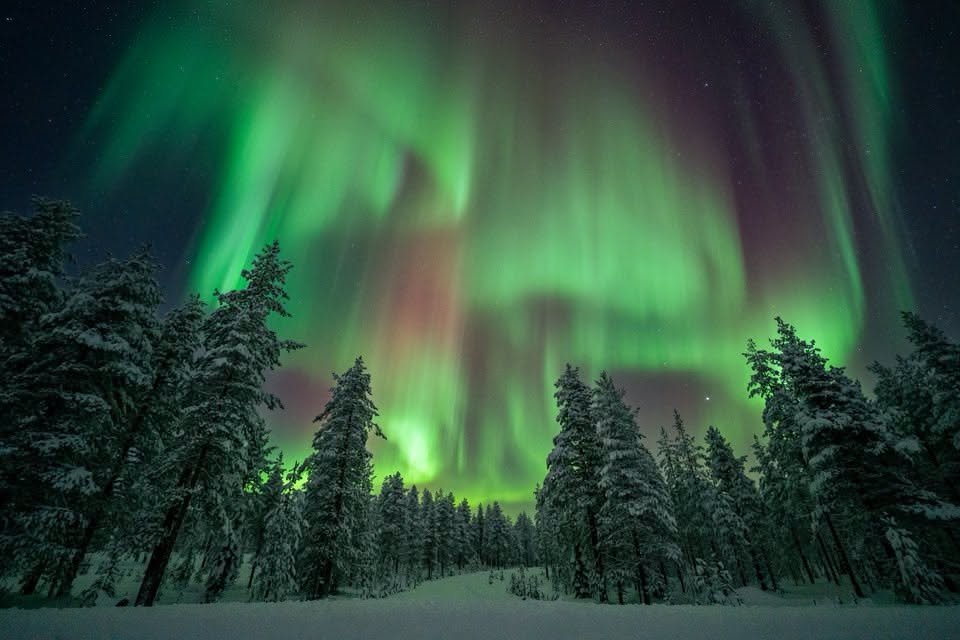 Rovaniemi Northern Lights Finland