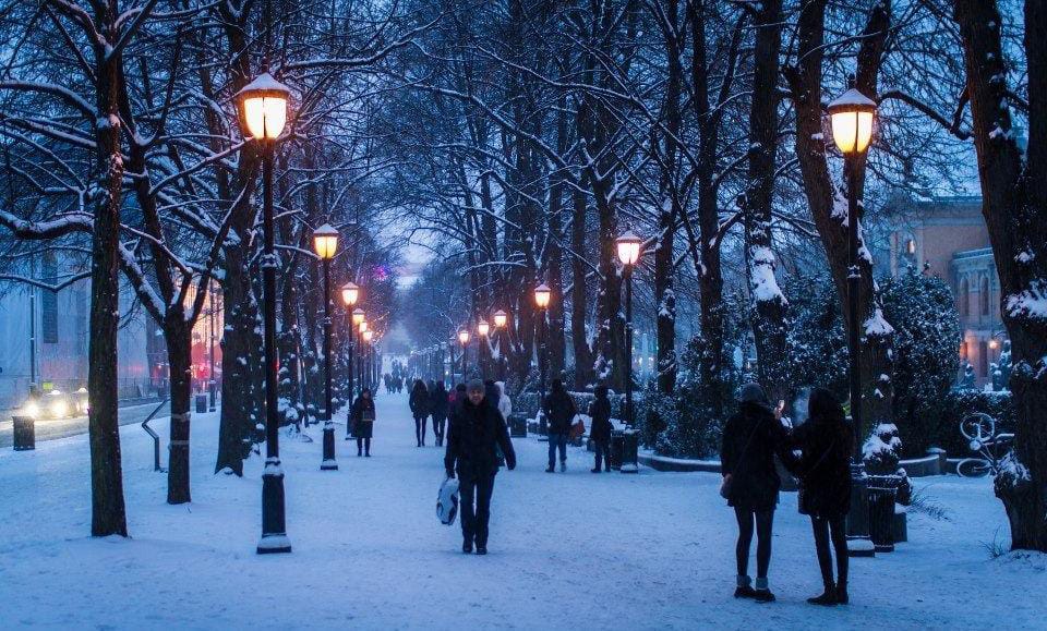 Experience Oslo in Winter